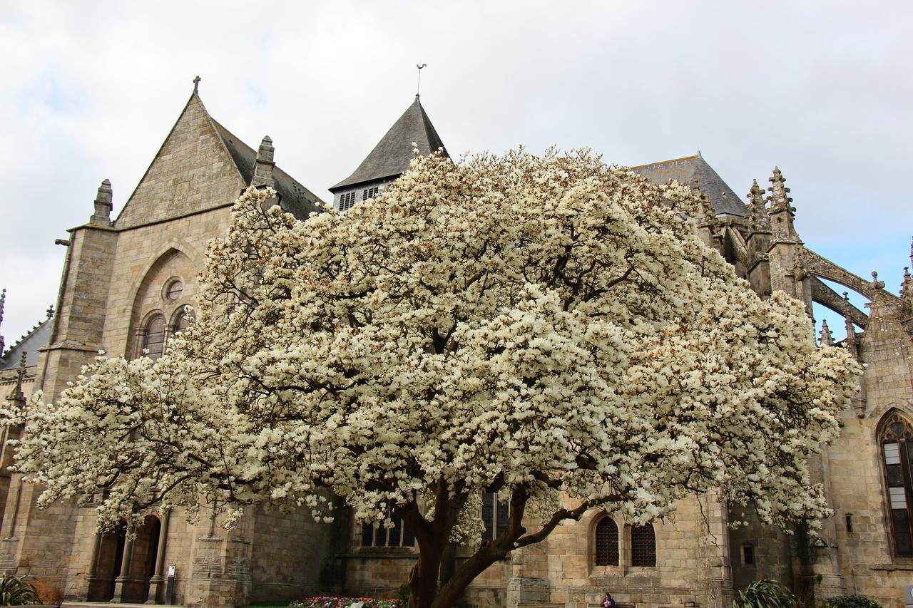 Bed and Breakfast La Tocade Del Arte - Dinan Lanvallay Esterno foto